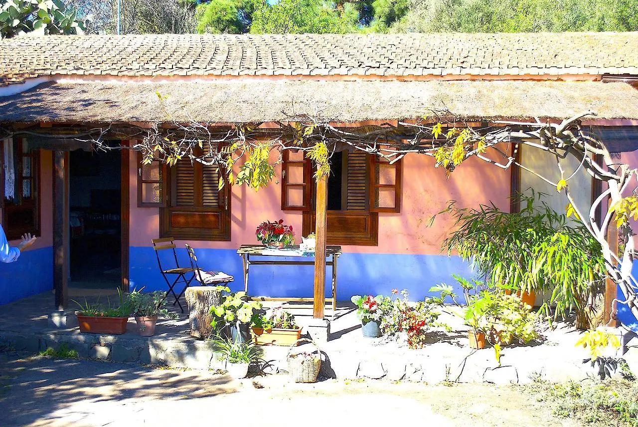 Casa El Alpendre Hotel Santa Brigida  Apartment